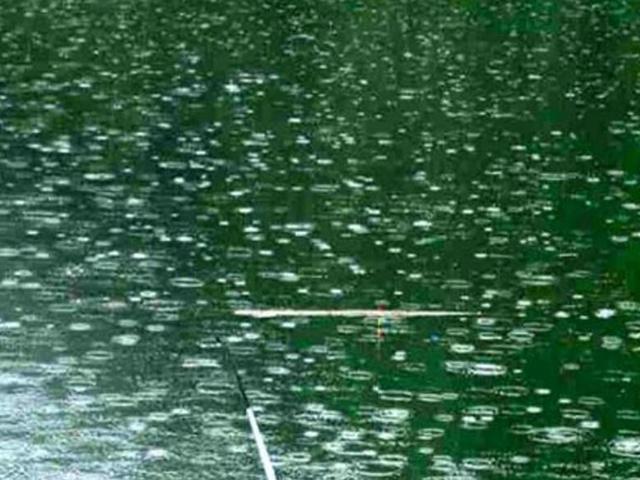 ▲连续阴雨天，不知如何钓鱼？看完这些干货，雨天一样钓鱼
