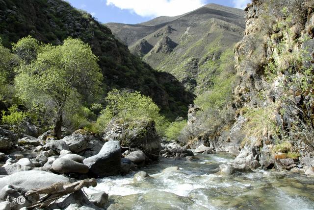 狮子座■5月9号,运势大逆袭,咸鱼翻身变富翁,添丁添福,好运挡不住