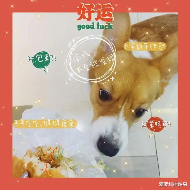 秦霄贤|同时劈腿3个女人,德云社是怎么把他收进去的?