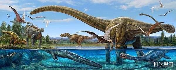 [哺乳动物]地球上，哺乳动物的生殖系统为什么都在两腿之间？