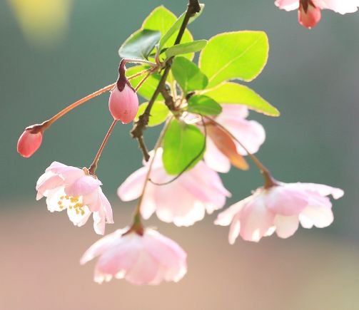 运势|步入10月，4属相获贵人指点，事业风生水起，喜事接二连三