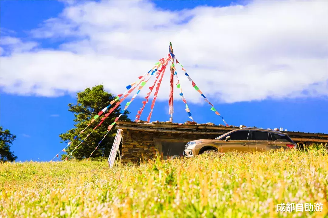 『川西』不输俄么塘！川西又一冷门万亩花海开放，不收门票，赏花观云还不打挤