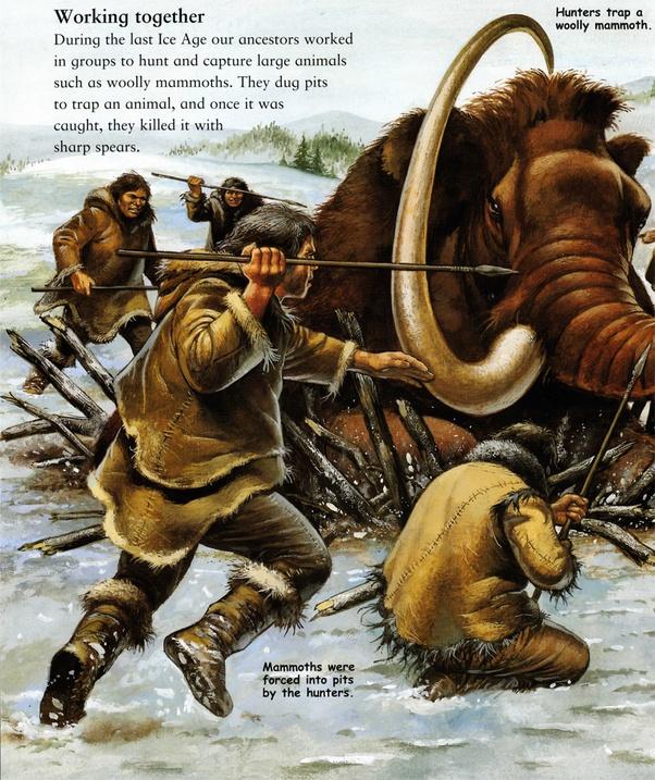 霸王龙|人类用现有技术可以打败一只霸王龙吗?如果能,怎样打败它?