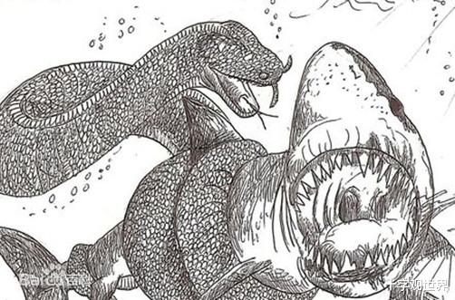 |地球史上十大巨蛇，凶猛而又危险