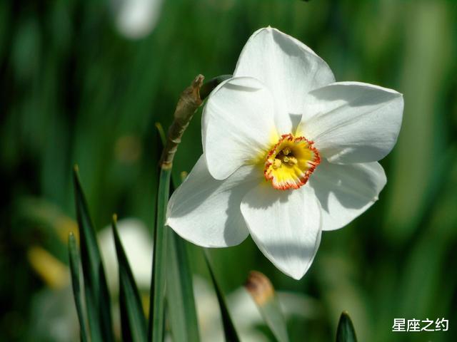 旧爱|7月份过后,幡然醒悟,不留遗憾,勇敢追回的三大星座