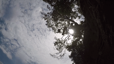 『陆军』两立一等功!全国劳模!毕业10年从副连到副团