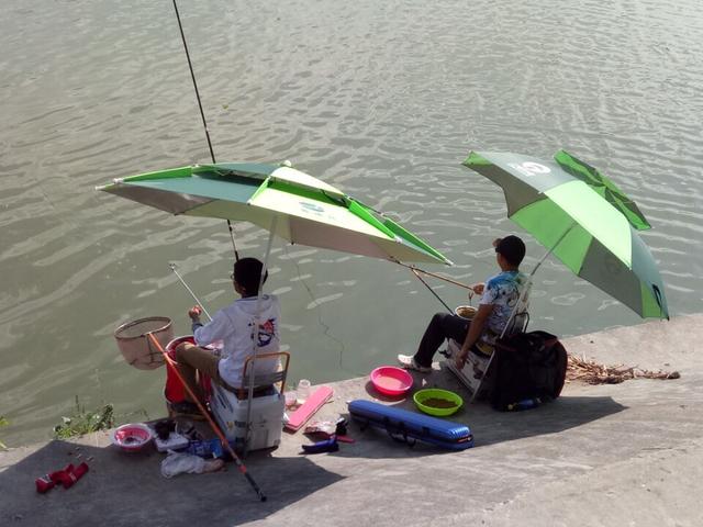 :夏天钓大鱼只能钓钝?别再被骗了,正确使用调高钓低渔获会更多