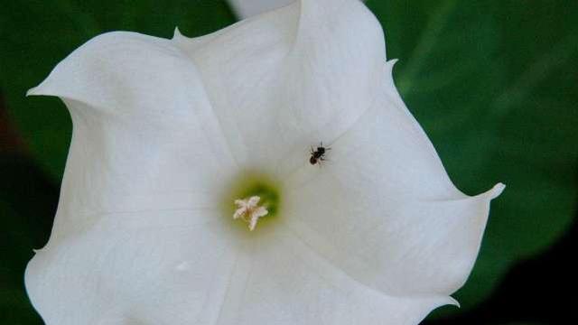 生肖|不好惹，很有骨气的星座，不会忍气吞声，懂得找机会反击