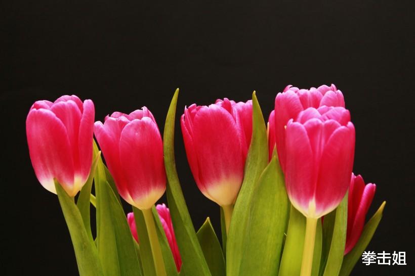 生肖：财运高攀不起，3生肖六月下旬，财神家中坐，再穷也能富