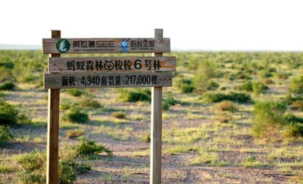 饿了么|马云曾带领5亿用户沙漠种树，如今怎样了？网友看完：一大善举！