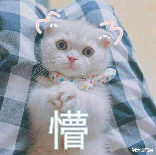 张馨予|真以为她比九亿干净？