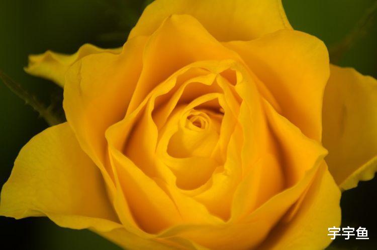 旧爱|9月开始鸿运当头，财运红火，富贵不愁的4生肖