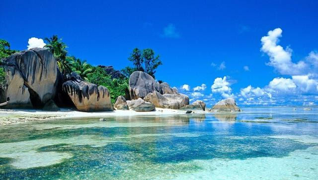 交易■读懂K线，就能理解期货股票交易中人性的期望、猜疑、幻想、贪婪、恐惧...