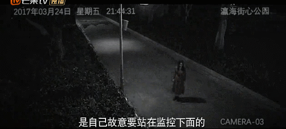 黑色灯塔|播放量飚至1984万！一口气看完5集后，我果断入坑