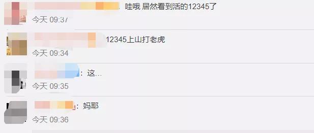 #周紫馨#《陈芊芊》惊现“12345”主演，不背台词凭什么有戏拍？