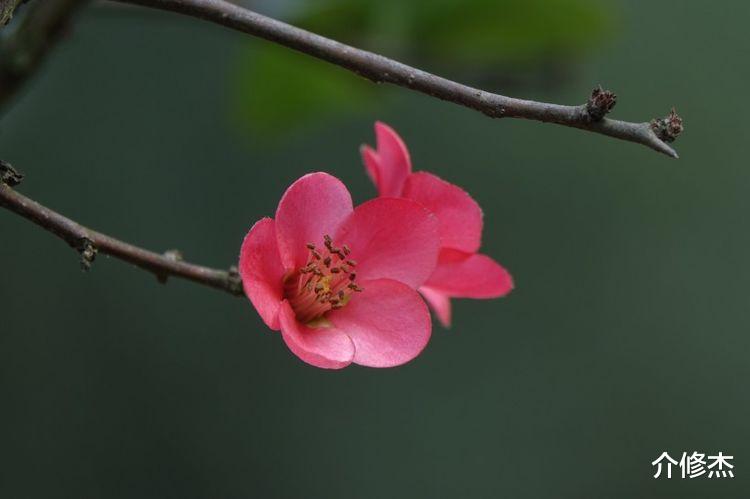 生肖|下半年期间，好运缠身，财神青睐，贵人撑腰，喜上加喜的4大生肖