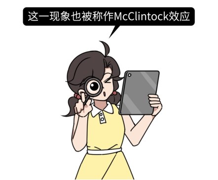 运动|女人胸部长毛毛，有没有问题？15条女性生理知识，男女都该知道