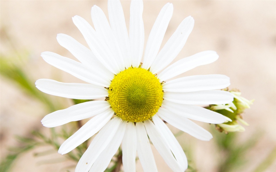 旧爱|生肖龙：千万别断送了财路，不能跟这生肖在一起！