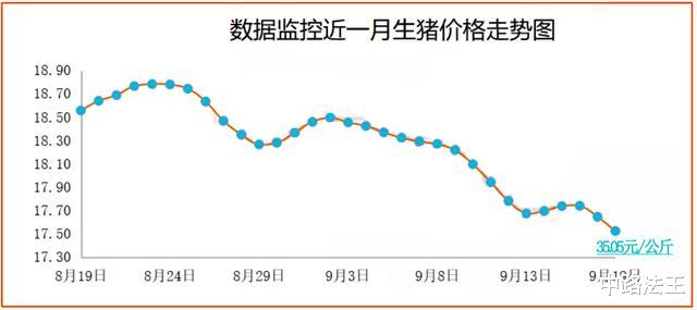 生猪价格|24跌!猪价“扛”不住,中秋、国庆猪价上涨要凉凉?3个坏消息!