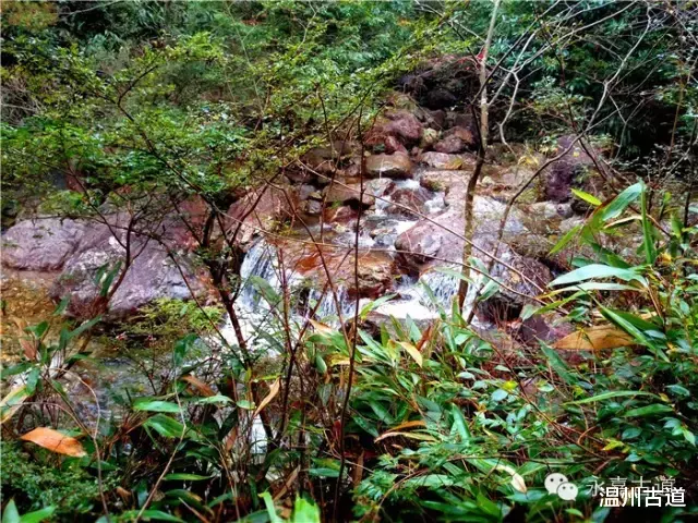 温州@温州铁坑古道，一条横亘于永嘉青田深峡的水瀑古道