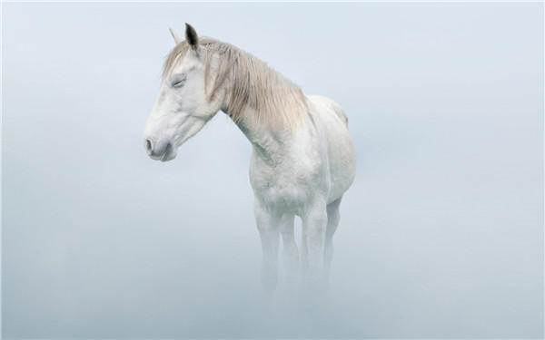 |教你如何赚钱？这套方法可套用任何项目！