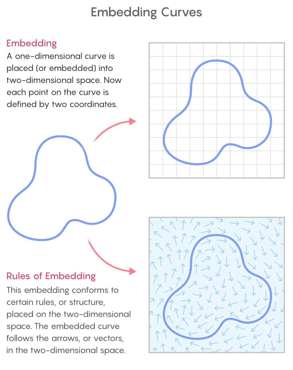 克莱因瓶|最近，数学家通过四维空间几何解决了世纪性几何难题：环内的矩形