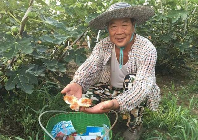 水果|七月别错过它，人称“生命之果”，钙质含量丰富，孩子多吃长得高