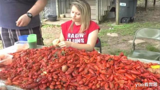 『b-2轰炸机』中国又有动物泛滥了,政府发大招:抓住就能得到相应的奖励