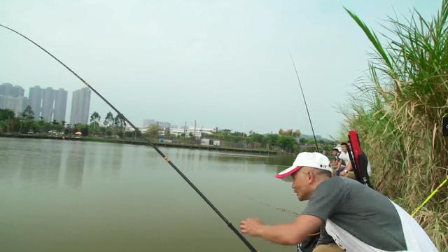 :看钓鱼大赛学钓鱼技巧!华山论剑,高手云集