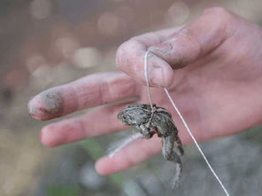 []可否还记得小时候曾做过的事情.....