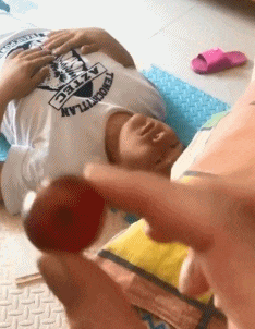  “这是青蛙劈了腿，还是小蛇出了轨？”哈哈哈，该叫它什么物种呢？