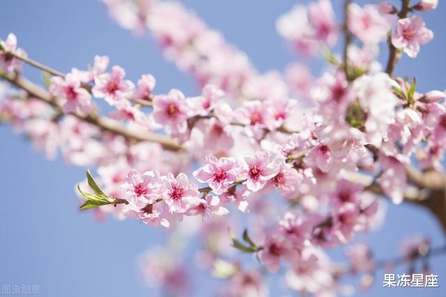 金牛座|2020秋天，这三个星座有桃花，第三个星座会得到想要的告白