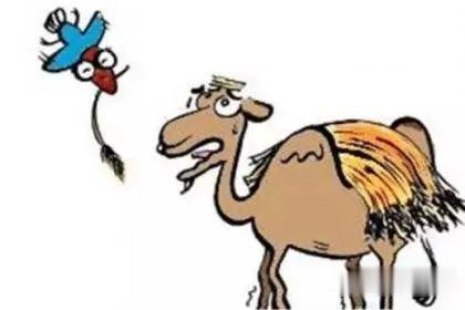 |友情转载：网吧技术员的未来，何去何从，云无盘篇