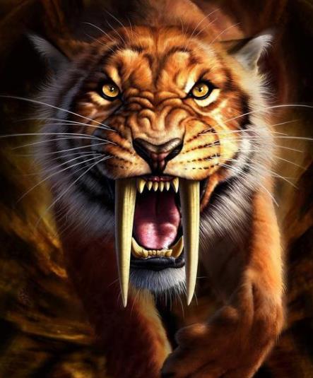 [剑齿虎]刻在基因里的恐惧！曾经吃掉几十万人，人类最后的天敌却无故灭绝