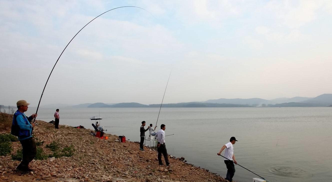 鲤鱼|钓大鱼，在这3个方面都耍点“流氓”，成功率要大得多