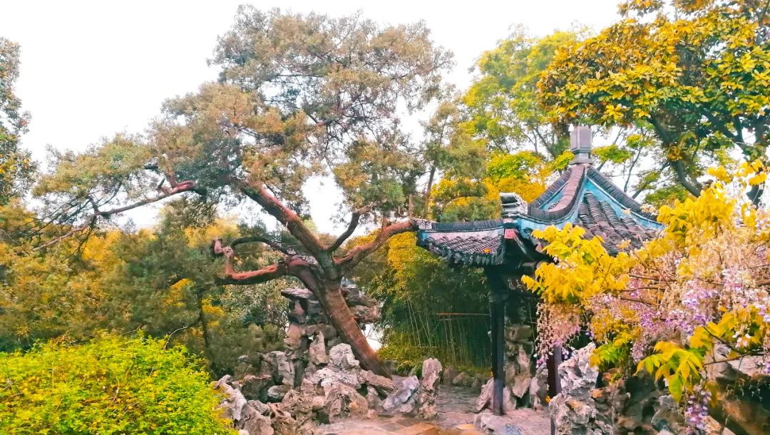 无法抗拒|比苏州秀美！原来它才是江南秋景第一，正适合去过几日慢生活！