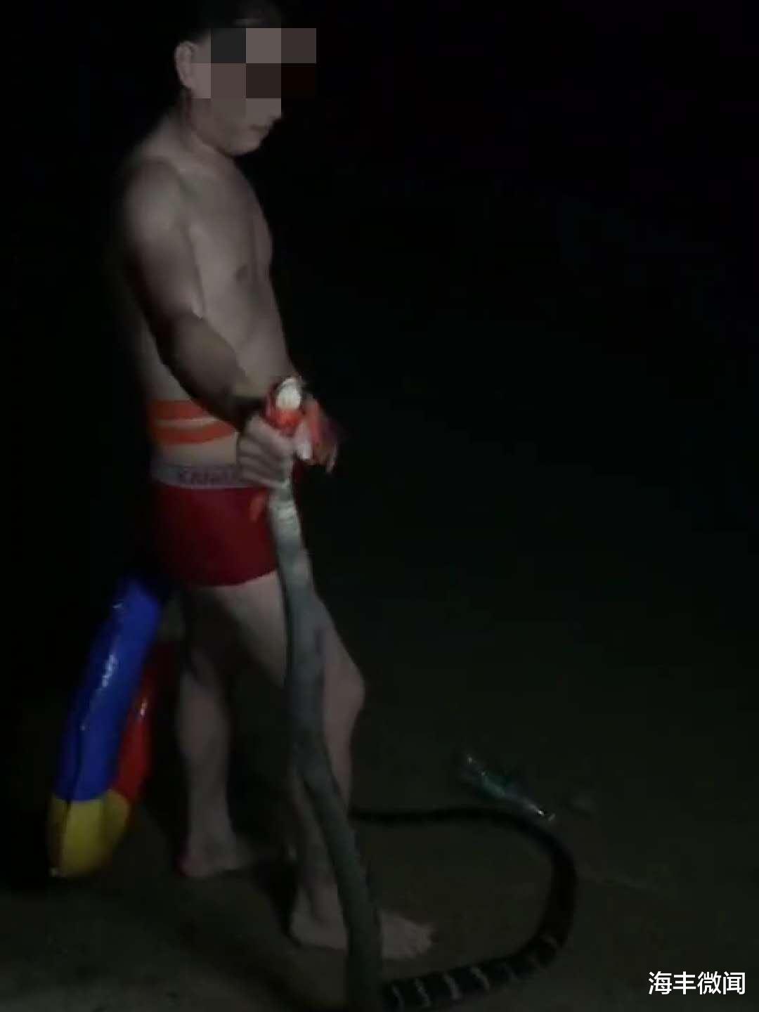 海丰微闻|汕尾一男子野外游泳勇擒六米长“眼镜王蛇”