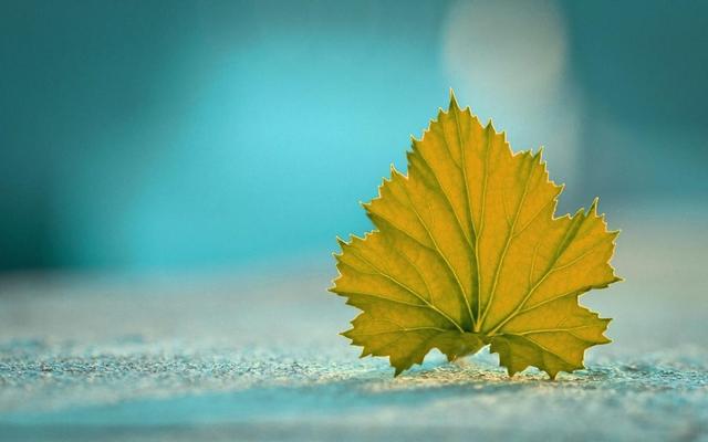 星座爱情观@这4个星座分手有一招，感情结束就会默默离开，放过自己成就他人