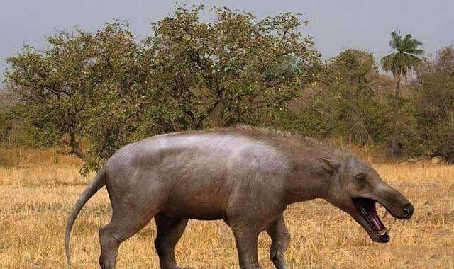 食人树▲地球上最“诡异”恐怖的5种神秘生物极有可能存在，人类的天敌