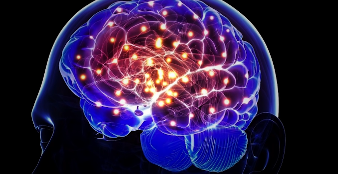 科学家|人体内存在一台量子计算机,你的灵魂可能真实存在,就在身体的这个地方