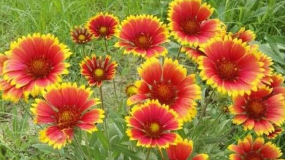 天蝎座|8月18号喜迎财神,八方贵人,横财天降,财运大红大紫的3大属相