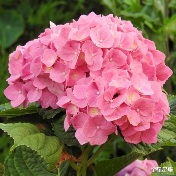 「运势」恭喜！6月23号，3生肖大富大贵，事业大有成就，春风得意