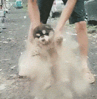 |“为什么修仙小说中宗门实力一代比一代弱?”哈哈哈看来小说也免不了俗