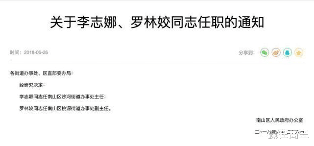数学|当哈佛和北大清华高材生涌入街道，你还会指责许晨阳的“出走”吗