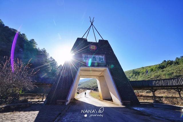 「泸沽湖」距离泸沽湖2小时车程，有这么一片原始森林，号称“最后的净土”