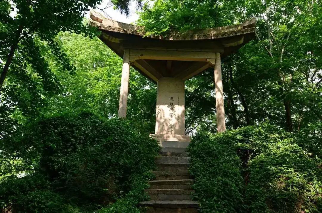 南京:下半年,南京这18个景点免费开放!