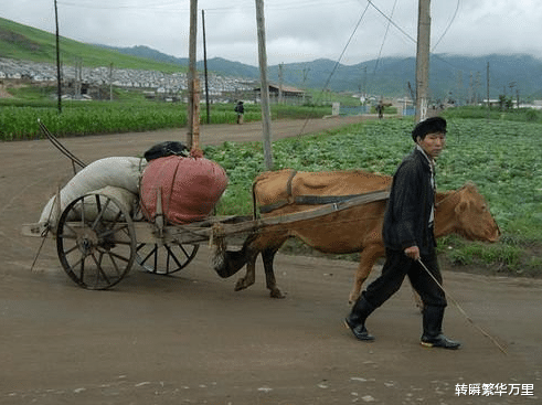 朝鮮2500多萬人，全國耕地非常有限，如何實現糧食供應？-圖4