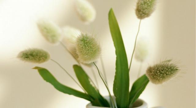 生肖|9月开始,金九银十,贵人来助,4生肖好运连连,事业步步高升