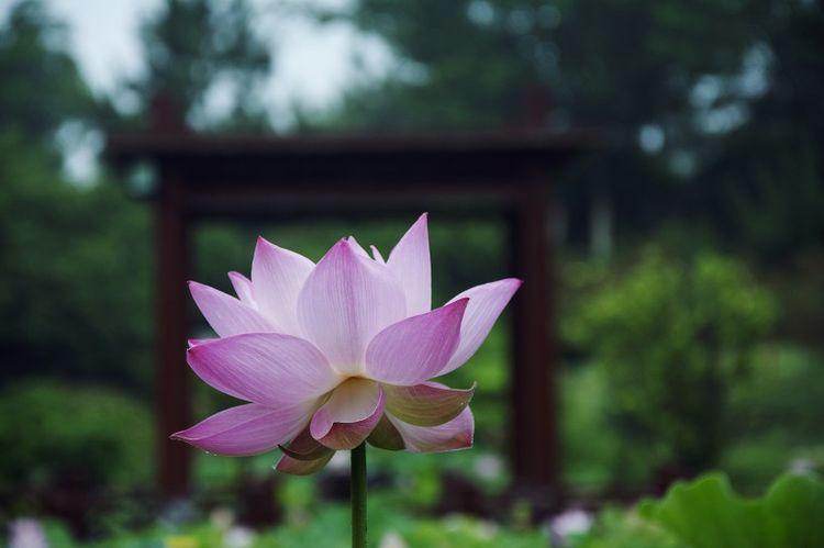 运势|9月开始喜纳四方钱财，好运源源不断，即将大翻身的四大生肖