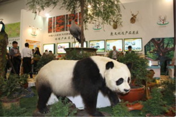 ##“国宝”级的大熊猫寿命是多大？死后会咋处理？看完又涨知识了